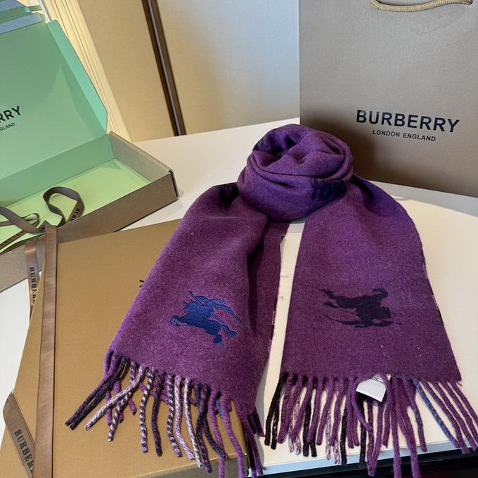 Burberry Scarf ID:20260120-66